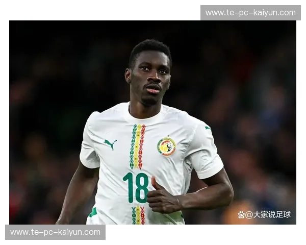 非洲杯锦标赛:热血、文化与荣耀的非凡盛宴 非洲杯锦标赛:热血、文化与荣耀的非凡盛宴